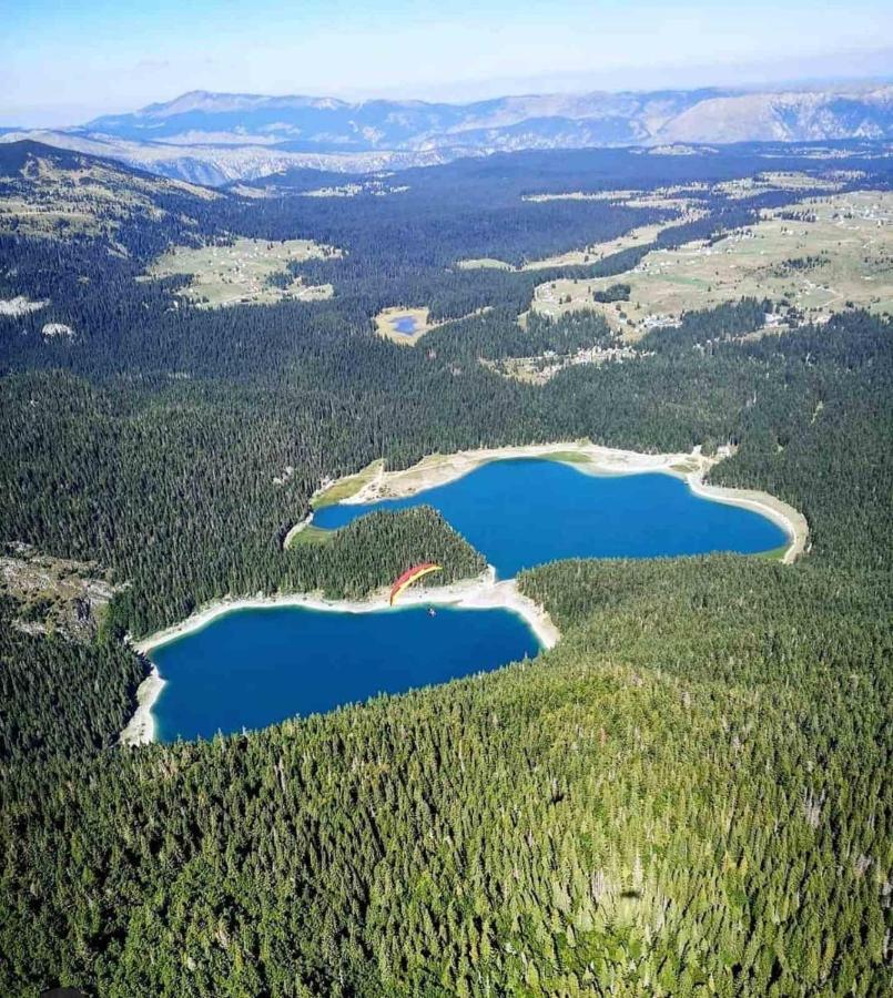 North Forest Žabljak Exteriör bild